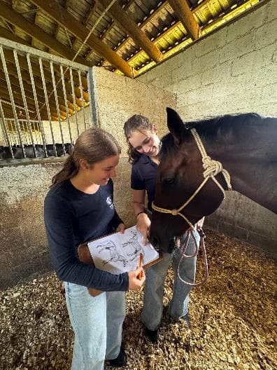 Students field work at BSET Academy