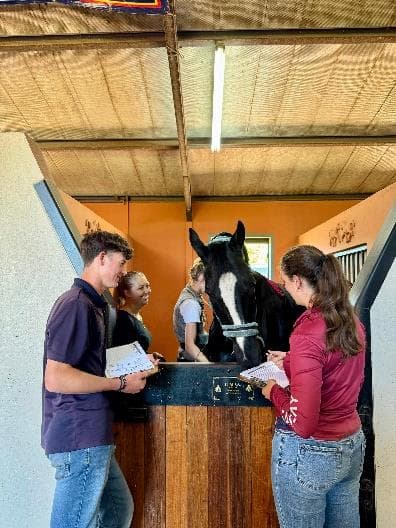 Equine field experience BSET Academy