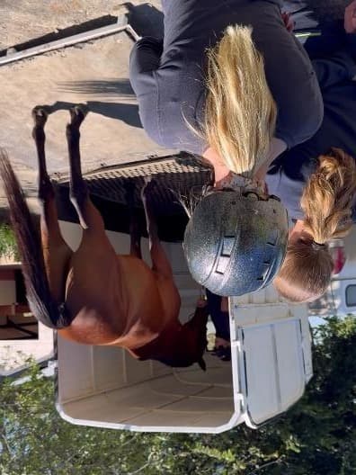 Students practising EKWOS Horsemanship